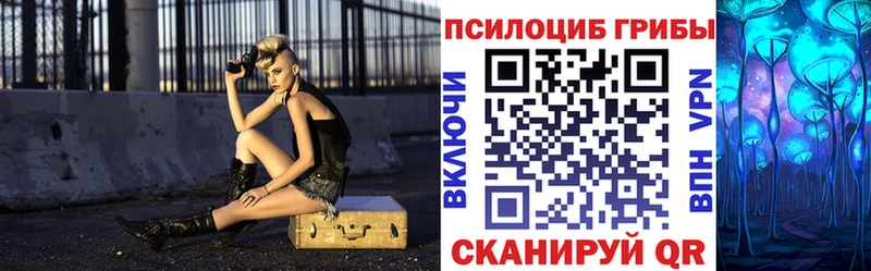 Псилоцибиновые грибы Cubensis  Осташков 